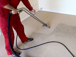 sofa cleaning 